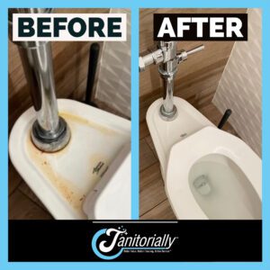 Before and After Toilet Bowl Cleaning