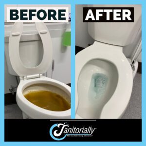 Before and After Clogged Toilet Cleaning